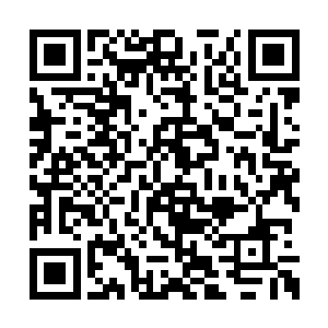 他们都不愿意看到陈诚继续再这么耀武扬威下去二维码生成