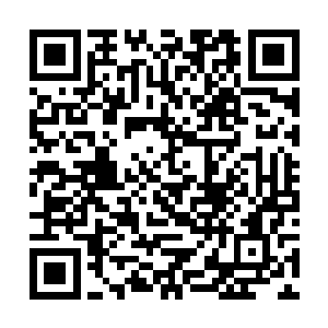 他们都以为自家大哥茅哲几乎已经是六品开天的巅峰二维码生成