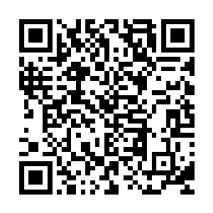 他们都好像看到了圣族天才的奖励和圣族的奖励在向他们招手二维码生成