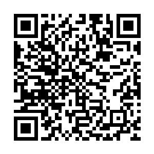 他们都好热情……学校也好漂亮……我昨天还交了一个好朋友二维码生成