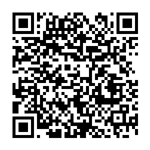 他们都已经看出这名和北极冰神殿有着密切关系的少女乃是长阳府的人二维码生成