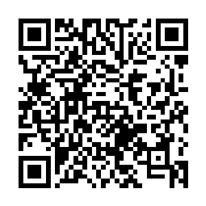 他们都希望有朝一日能够站在电影首映式的红地毯之上二维码生成
