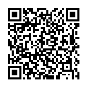 他们都是不知道经过了多少次生死拼杀才活下来的人二维码生成