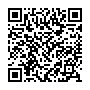 他们都是从当初的太古大战时候就存活下来的人二维码生成