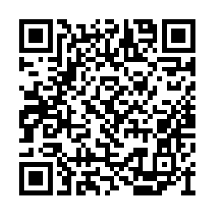 他们都是分别附属于四大势力的各大势力的首领二维码生成