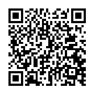 他们都是在梁家和梁月华相处了很久的梁家的元老了二维码生成