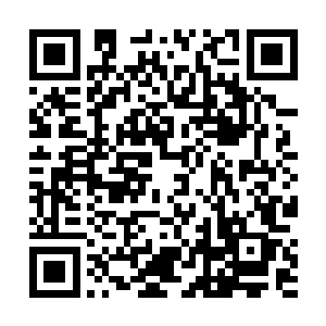 他们都是甘愿帮小妖找人的……我从未逼迫过他们……二维码生成