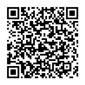 他们都是苏醒者……也就是天界里那种天人最后一次转生机会时沉睡二维码生成