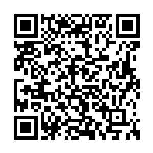 他们都有想将混乱之地列入他们势力范围的想法二维码生成