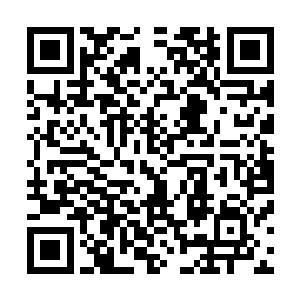 他们都没把站在面前忙活了半天的秦洛同学当做真正的医生二维码生成