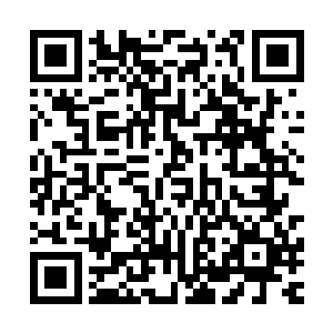 他们都没有注意到此时正站在后面观战的教练白色月牙的表情二维码生成