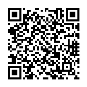 他们都清楚一个好的上场次序对他们来说有多重要二维码生成
