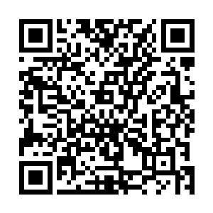 他们都知道碧落门现在掌控者绵老头和他换了肉身的徒儿二维码生成