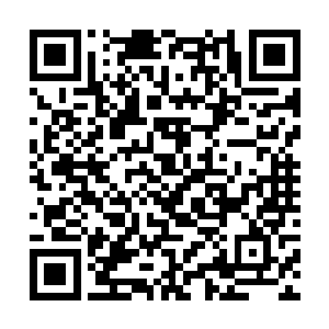 他们都知道这个银狼面罩是属于一个怎样的传奇佣兵二维码生成