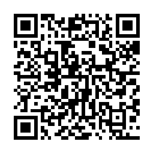 他们都被圣盟主力舰队惊人的数量和无比坚决的战斗意志二维码生成
