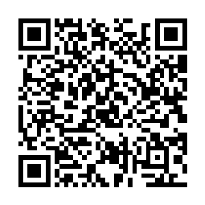 他们队伍当中有两个安保人员在萧摇犀利眼神的注视下二维码生成