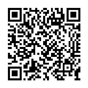 他们除了待在实验室里研究和偶尔教教学徒之外二维码生成