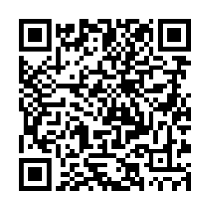 他们陶家的年轻人想要上去获胜那根本就是不现实的二维码生成