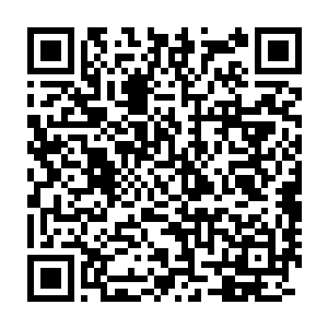 他们隐约意识到陈凌要去的地方可能是不曾听闻有人进入过的九界山二维码生成