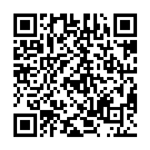 他们需要一个强大的核心领导者去带领着众人大杀四方二维码生成