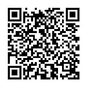 他们需要他青主现在还强大没人敢匹敌时扶一个天子出来培养二维码生成