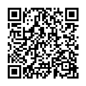 他们需要到别的地方……那里才是真正凶险之地二维码生成