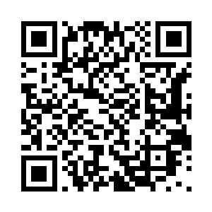 他们需要的是人类可以不断的疯狂繁殖二维码生成