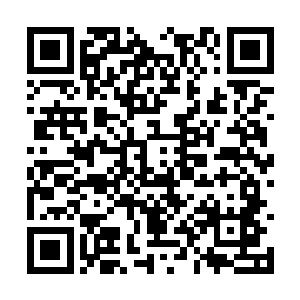他们非常顺利地以碾压的姿态通过了警视厅的包围二维码生成