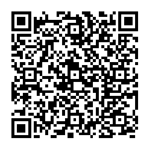 他们面色古怪起来……目光不约而同的看向远处如同众星捧月般站在人群中的雪灵二维码生成