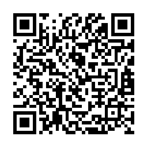 他们马上就能将看上去毫无防备的赵长枪射成马蜂窝二维码生成