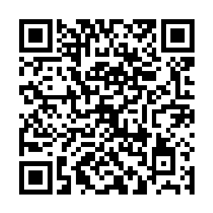 他仿佛好像已经看到世上最美的烟花在他面前灿烂绽放二维码生成