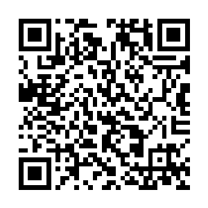他仿佛已经看到了李峰和他的魔宠都被圣级强者抹杀了二维码生成