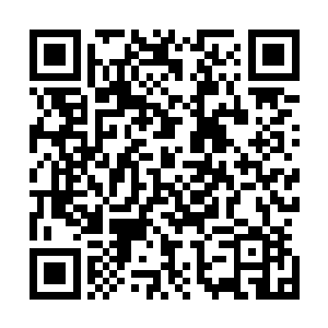 他仿佛看到赵长枪马上就要变成一具浑身都是血窟窿的尸体二维码生成