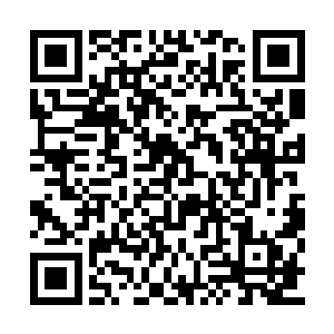 他会亲自去邀请白龙城的有名公子小姐过来观礼二维码生成