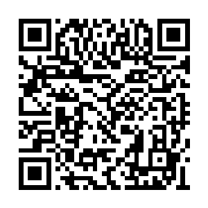 他会毫不犹豫的让十几头机械兽轰爆对方的脑袋二维码生成