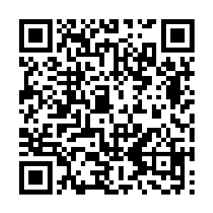他会看到灵帝脸上那毫不掩饰的残忍血腥弑杀之意二维码生成