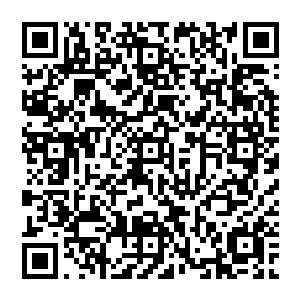 他估摸着吕嘉薇这一轮在遂安太阳能和多晶硅上的投资应该是赢得了他背后这个利益群体的认可二维码生成