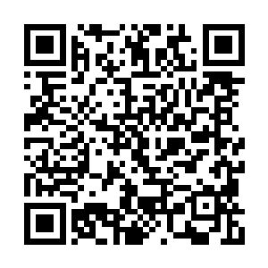 他估计在凌天道宗之中绝对没有人可以接近这里二维码生成