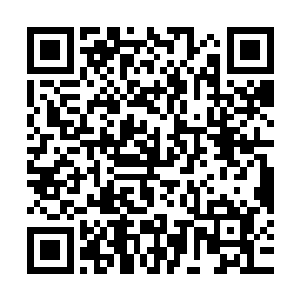 他伸出漂亮得让人发指的手将季疏云的小脑袋往自己胸膛压了压二维码生成