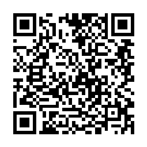 他伸手拉住了打算突然举起火箭筒跳出去发射的鬣狗二维码生成