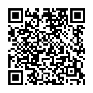 他似乎从来没有在比赛中使用过狮子狗这个英雄二维码生成