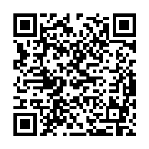 他体内的压缩之意在膨胀之中竟是到了喷发的边缘二维码生成