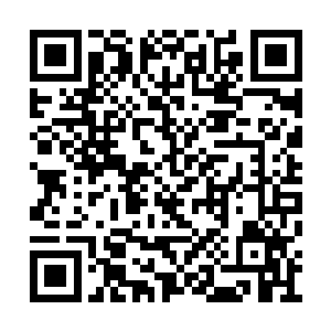 他体内的气血之力都会沿着毛孔窍穴慢慢的流失二维码生成