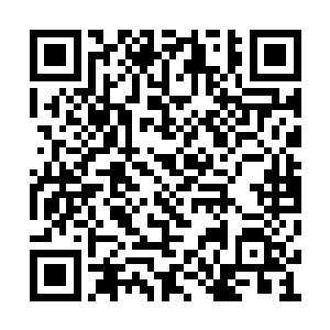 他使用内劲改变了澹台丹华发出的流星镖的弧度二维码生成