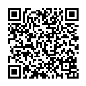 他依然不禁赞叹自然的神奇和它蕴含的强大力量二维码生成