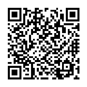 他依稀记得沈凡当年从他手中抢走了两个异族之时二维码生成