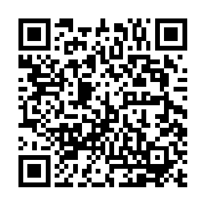 他便做小四冒险团中最苦最累死亡率最高的探路者来报答二维码生成