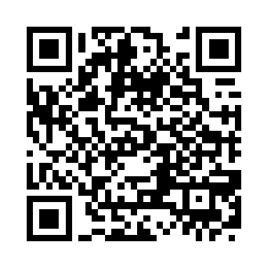 他便发现了那棵处于中间位置的铸栊草二维码生成