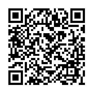 他便可以无所顾忌地感受那两瓣红唇的柔软芬芳二维码生成