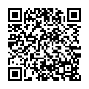他便将青衣给带了回来想要让自家娘子为他诊治二维码生成